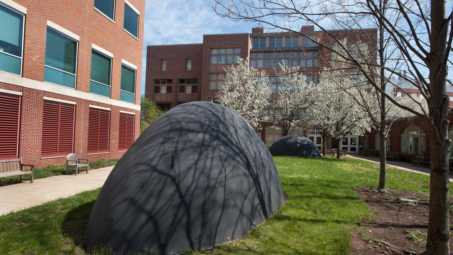 Neither Whales nor Turtles public sculpture by Jene Highstein on Busch Campus at Rutgers University–New Brunswick