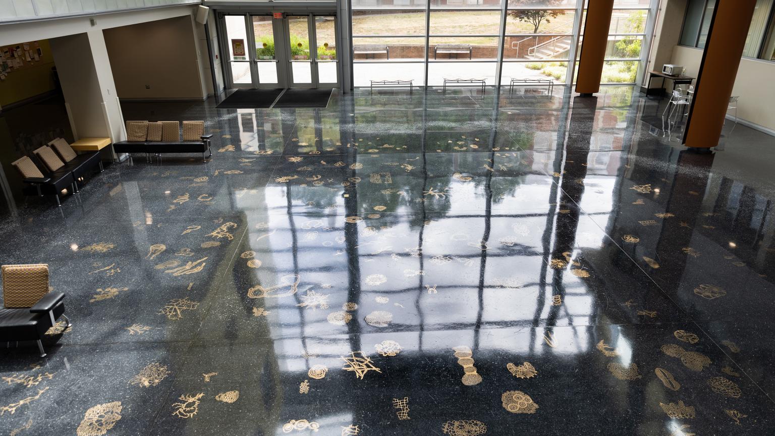 Life Forms public art by Michele Oka Doner located on main floor of Life Sciences Building