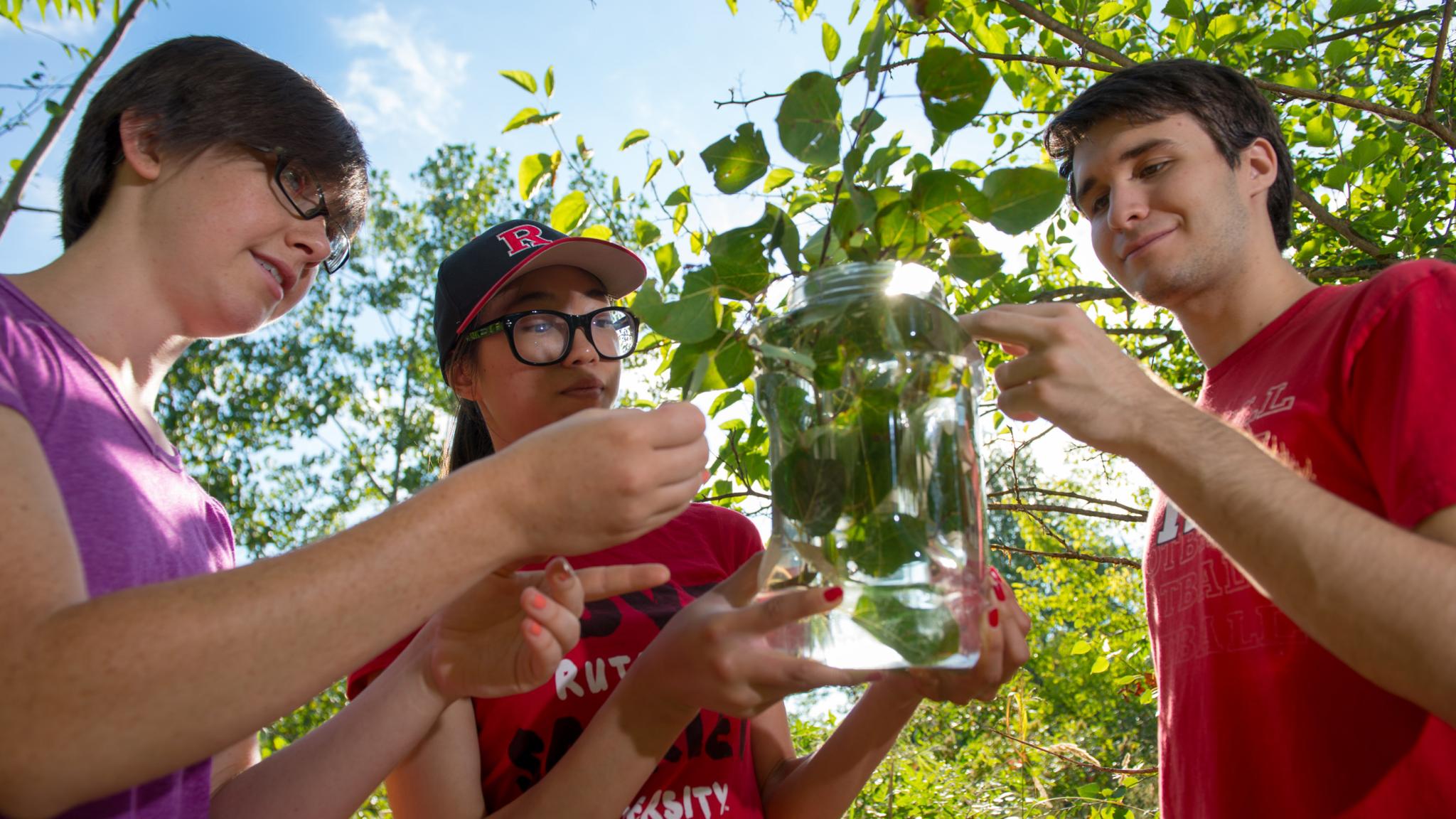 Undergraduate Research | Rutgers-New Brunswick