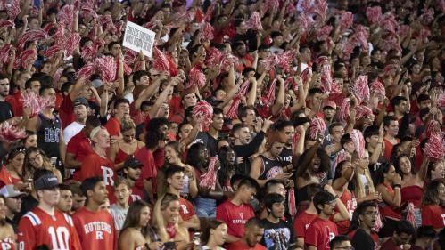 football fans in stadium
