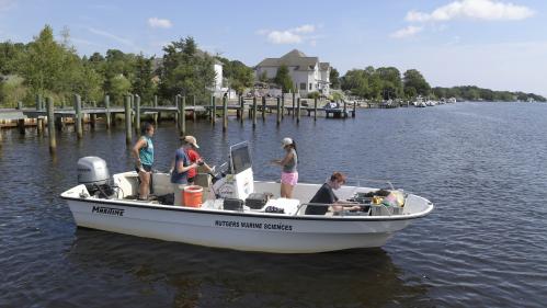 Oyster Creek Research