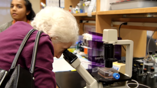 Woman looks through telescope at lab