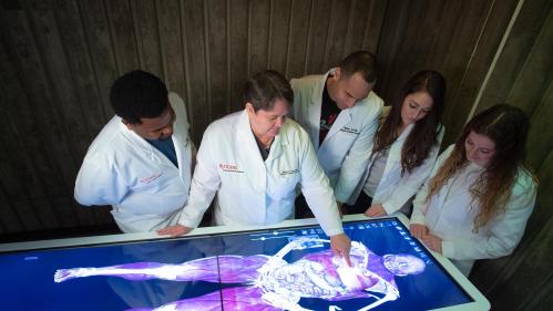 students around a virtual cadaver