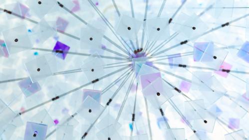 Spotlight: Center for Public Health Workforce Development