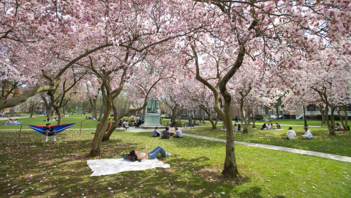 Students lounging on Voorhees Mall on a spring day.