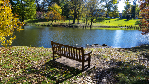 Bench in front of Passion Puddle on a bright fall day on Cook Campus