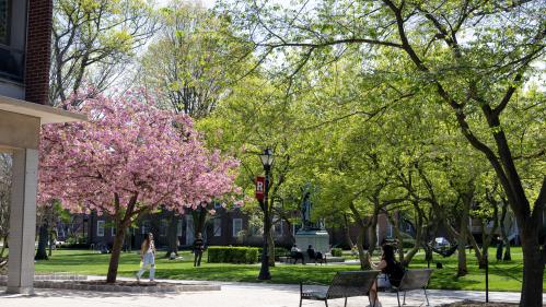 Voorhees Mall on a spring day