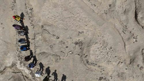 A group of researchers form a semicircle in an aerial view of a fossil site