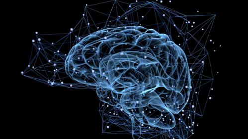 digitized image of a brain in blue against a black background