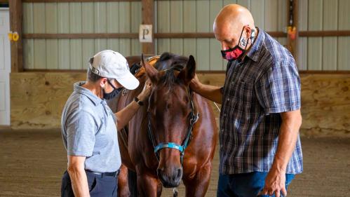 A woman in a white baseball cap stands at left with a man in a plaid blue shirt at right. A brown horse is in between them.