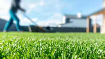 turfgrass