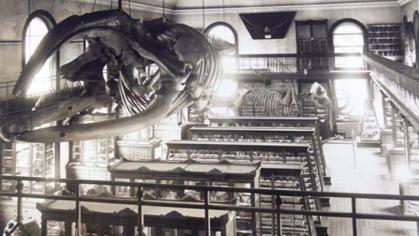 geology musem