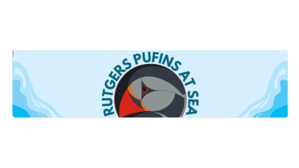 pufins