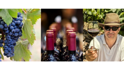 Wine making images