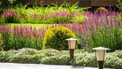 Landscaping and flowers