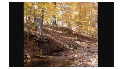 Ecological Preserve landscape