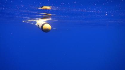 A Rutgers glider floats just under the surface of the water