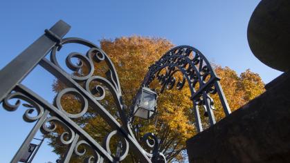 A view from below of the Class of 1902 gate outside of Old Queens on Hamilton Street. A tree with yellow leaves in the background against a blue sky.