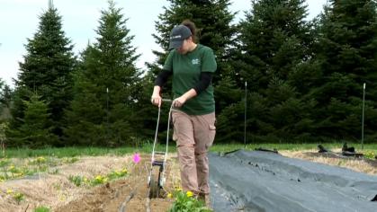 Christina Couch works on a farm