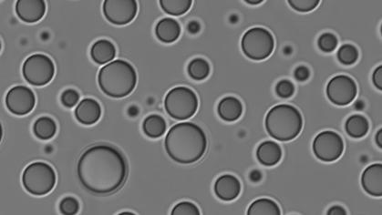 small gray circles against a background of gray