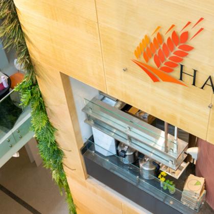 harvest cafe and dining area