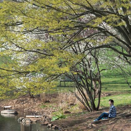 Person seated on the banks of Puddle Pond