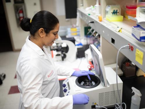 research in lab