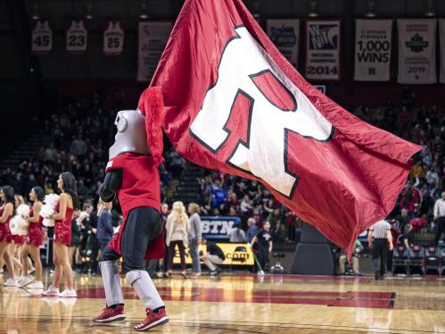Knight at basketball game