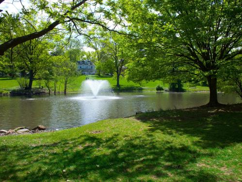 passion puddle on Cook campus