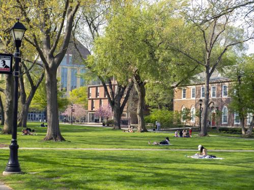 Students on the lawn at College Avenue campus