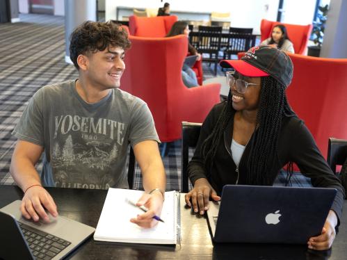 Two students study together with their laptops in the Druskin lounge of Honors College