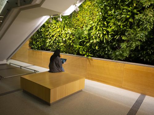 Student reads their IPad near the Living Wall in the Institute for Food, Nutrition and Health