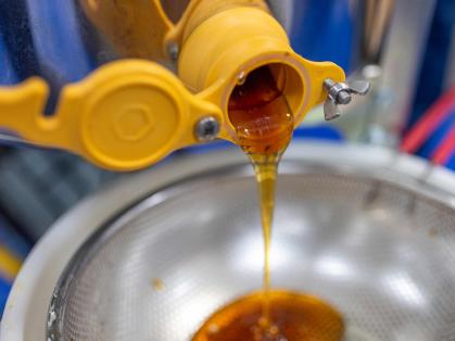 Honey dripping from a machine into a sieve for filtering.