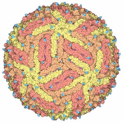 A yellow and orange ball with scattered blue dots representing an image of the Zika virus