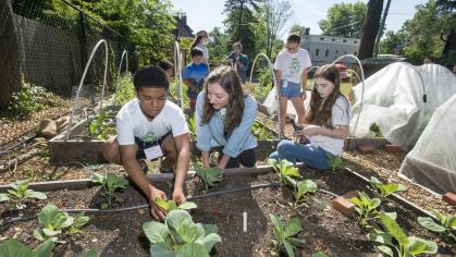 Students and children work in a community garden
