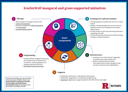 Graphic showing the different grant supported initiatives