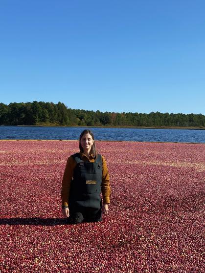 Gina Sideli is the new director of The Philip E. Marucci Center for Blueberry and Cranberry Research and Extension.