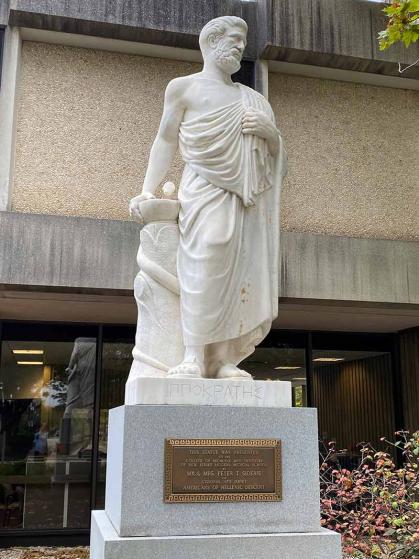 "Hippocrates" is near the entrance of the Research Tower and the Daniel I. Kessler Teaching Laboratories on Busch campus at Rutgers-New Brunswick.