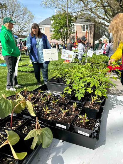 Plant sales during Rutgers Day are a popular attraction at Cook/Douglass.