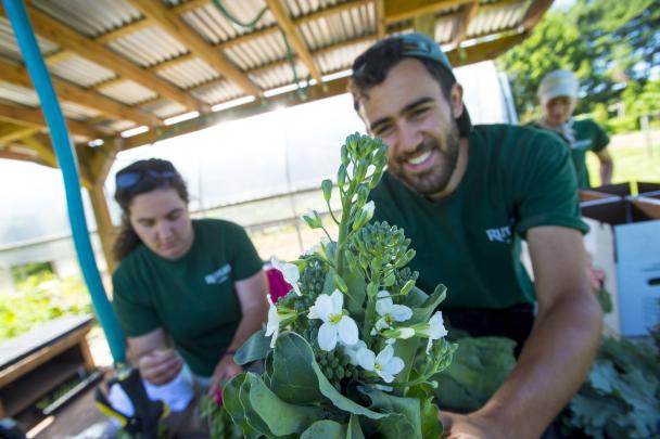 Students pack up produce grown at the Student Farm on the Cook Campus