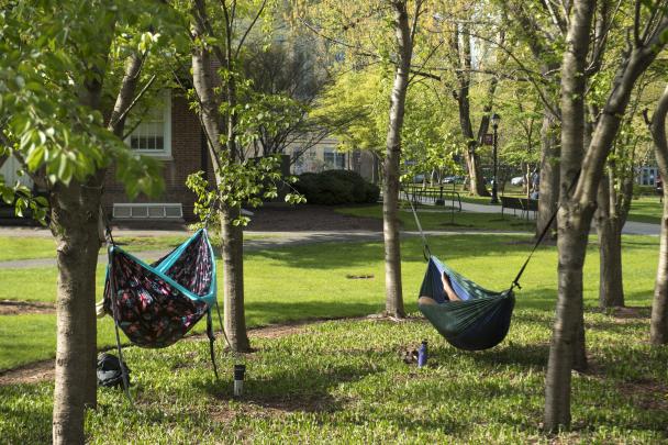 Students lie in hammocks on College Avenue Campus