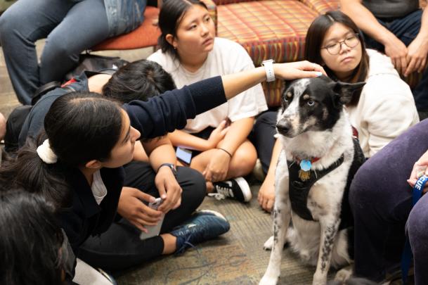 Students pet a black and white therapy dog during the Who Let the Dogs In event